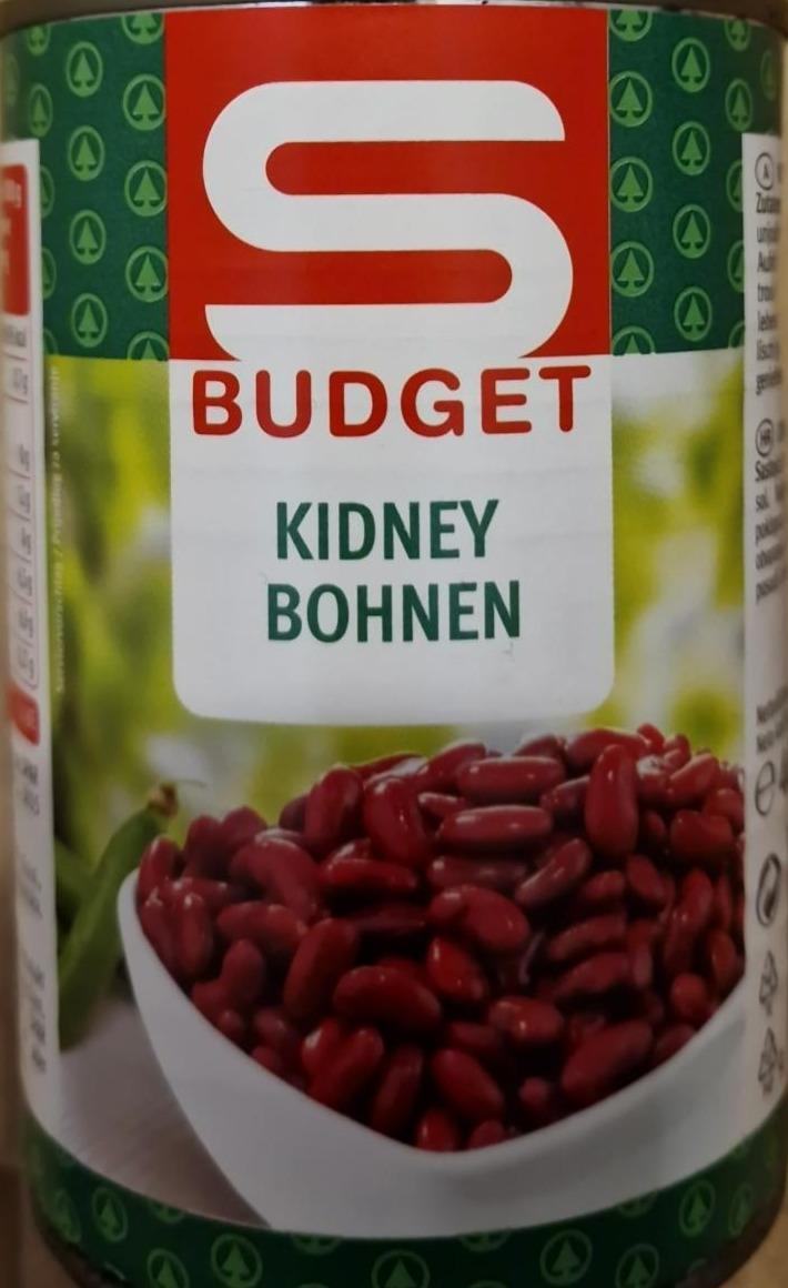 Fotografie - Kidney Bohnen S Budget