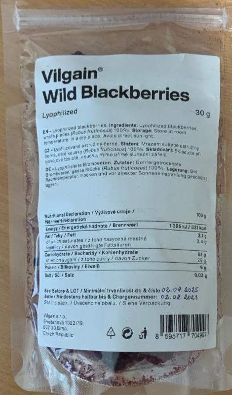 Fotografie - Wild blackberries Vilgain