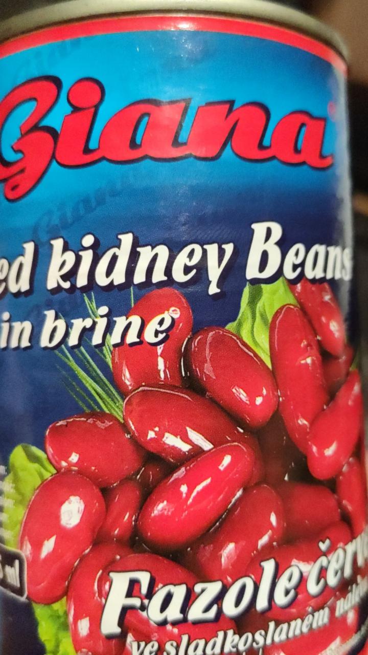 Fotografie - Red kidney beans in brine Giana