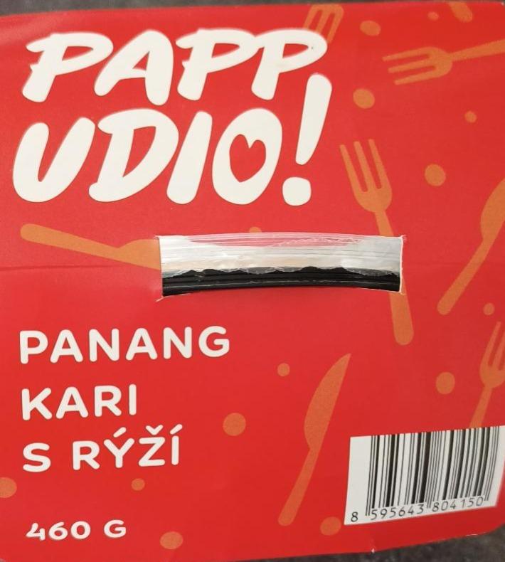 Fotografie - Panang kari s rýží Papp Udio!