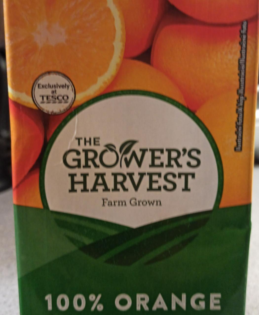 Fotografie - 100% Orange The Grower's Harvest