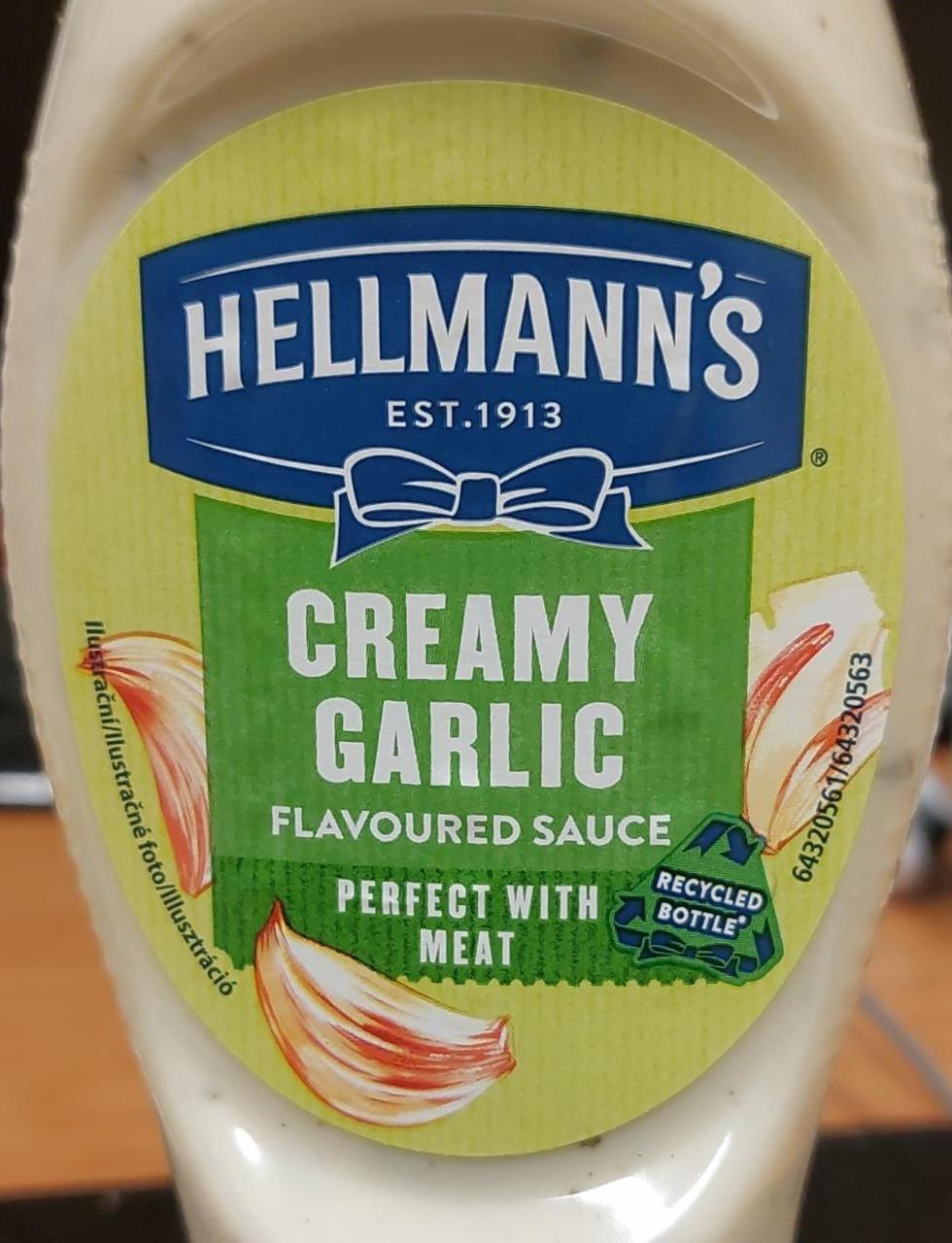 Fotografie - Creamy garlic flavoured sauce Hellmann's