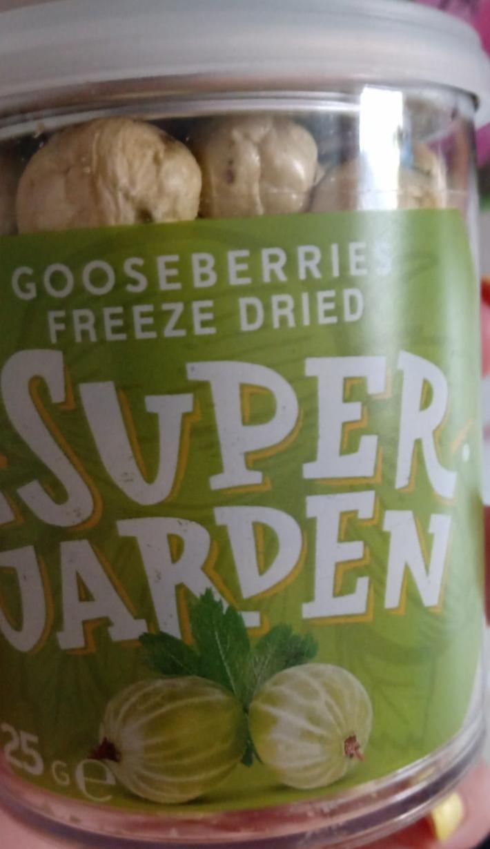 Fotografie - Gooseberries freeze dried (angrešt lyofilizovaný) Super garden