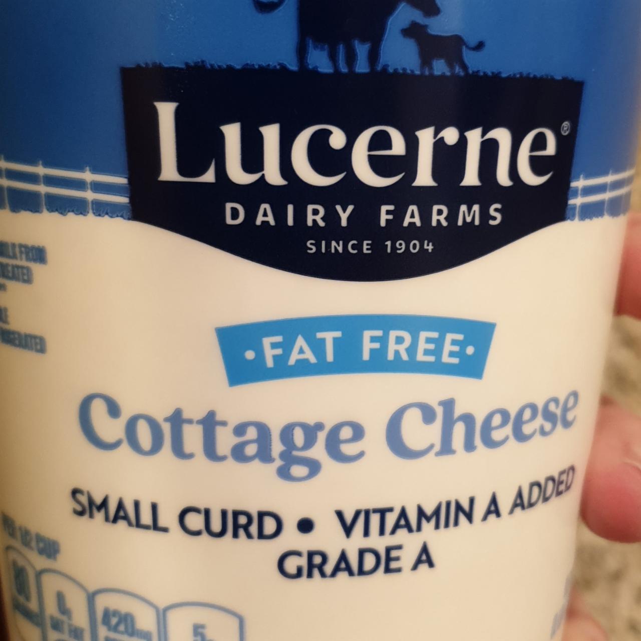 Fotografie - Fat free Cottage cheese Lucerne