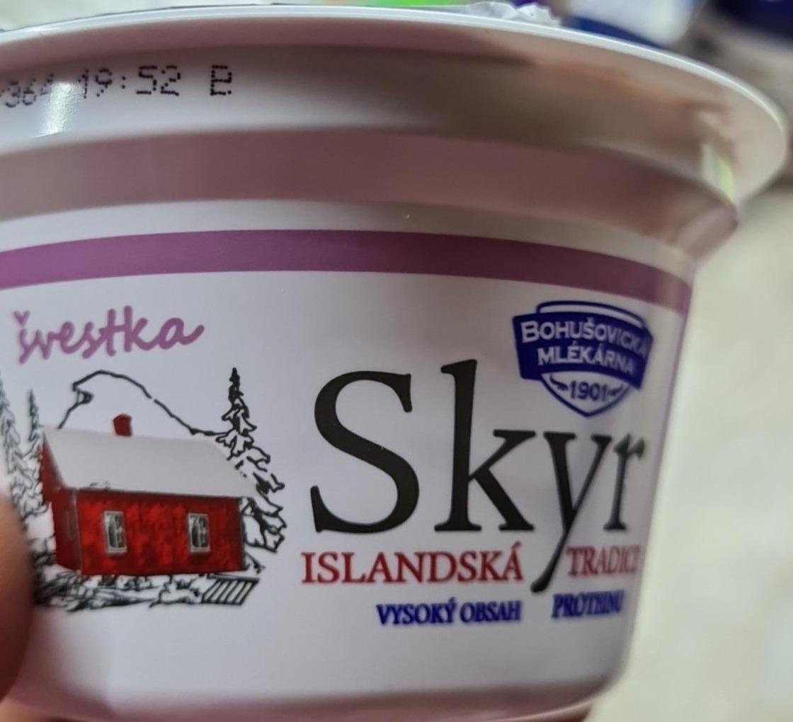 Fotografie - Skyr švestka islandská tradice Bohušovická mlékárna