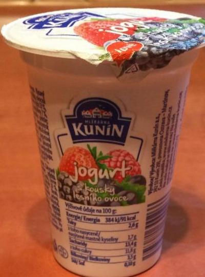 Fotografie - jogurt s kousky lesního ovoce Kunín