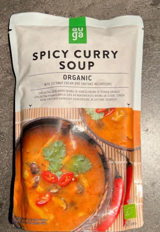 Fotografie - Spicy Curry Soup Organic Auga