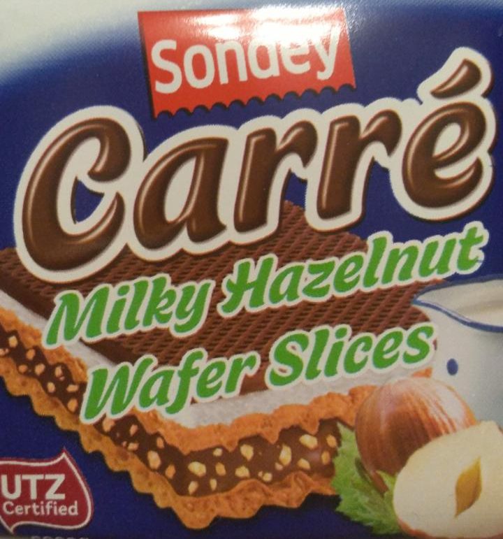 Fotografie - Carré Milky hazelnut wafer slices Sondey