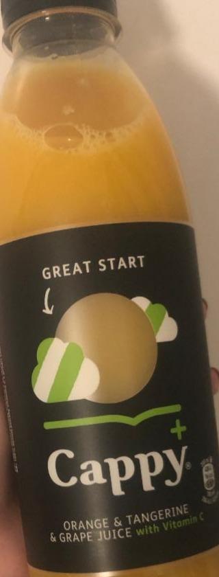 Fotografie - Cappy Great Start Orange&Tangerine&Grape Juice