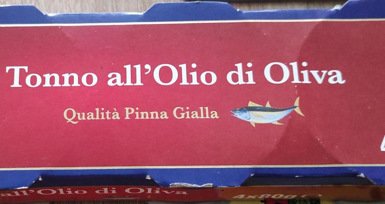 Fotografie - tuňák v olivovém oleji Ondina