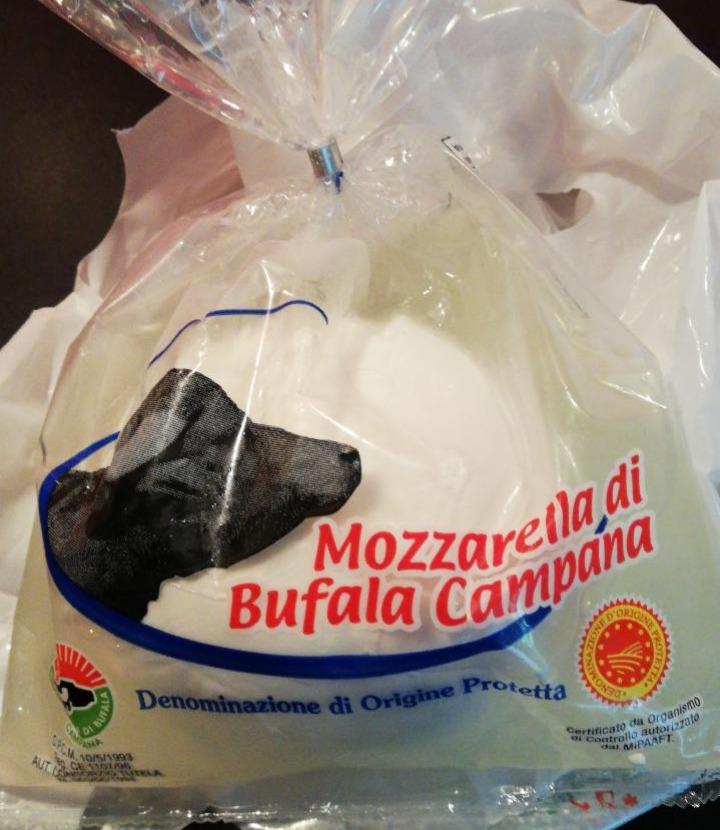 Fotografie - Mozzarella di Bufala Campana Denominazione di Origine Protetta