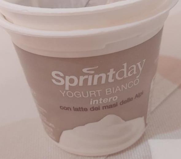 Fotografie - Yogurt Bianco Intero Sprintday