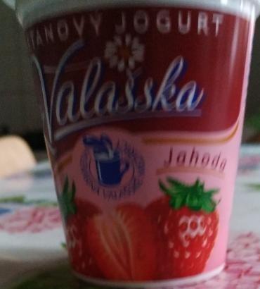 Fotografie - smetanový jogurt z Valašska jahoda