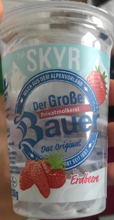 Fotografie - Der Große Bauer Typ Skyr Erdbeere