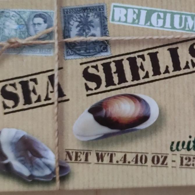 Fotografie - Belgické pralinky Sea Shells