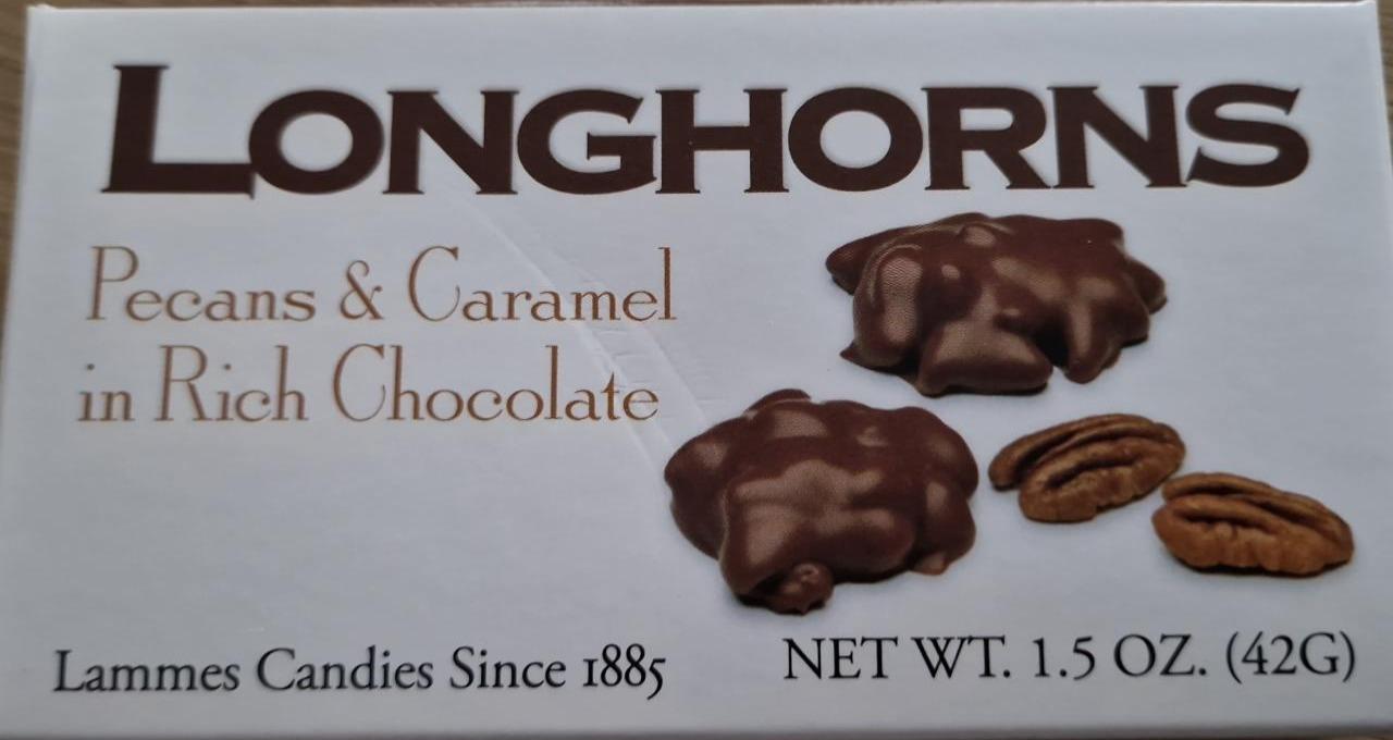 Fotografie - Longhorns Pecans and Caramel in Rich Chocolate