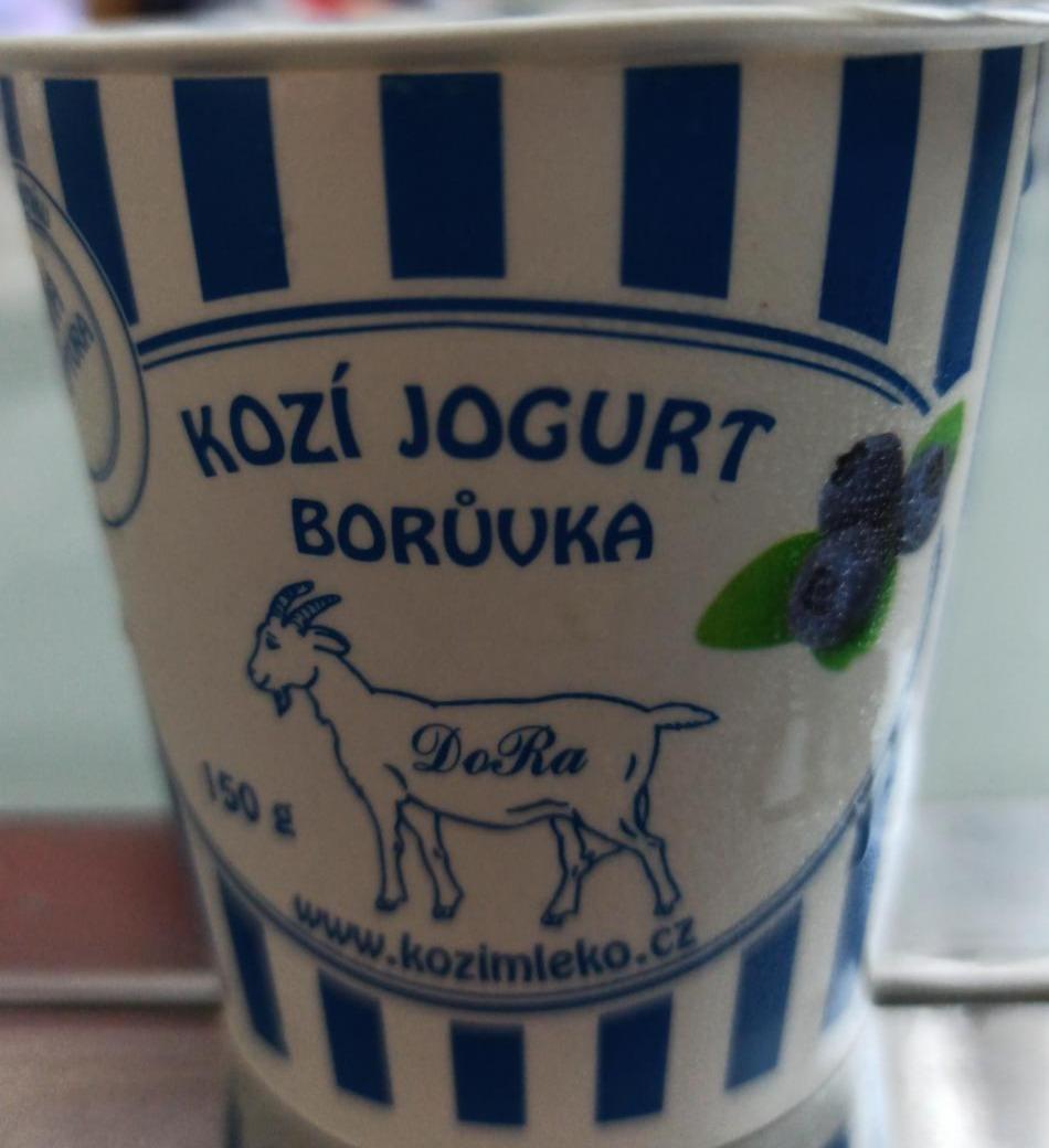 Fotografie - kozí jogurt borůvka DoRa