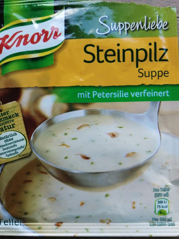Fotografie - Suppenliebe Steinpilz Suppe Knorr