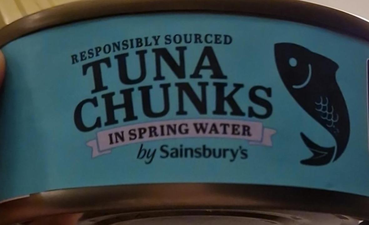 Fotografie - Tuna Chunks in Spring Water by Sainsbury's