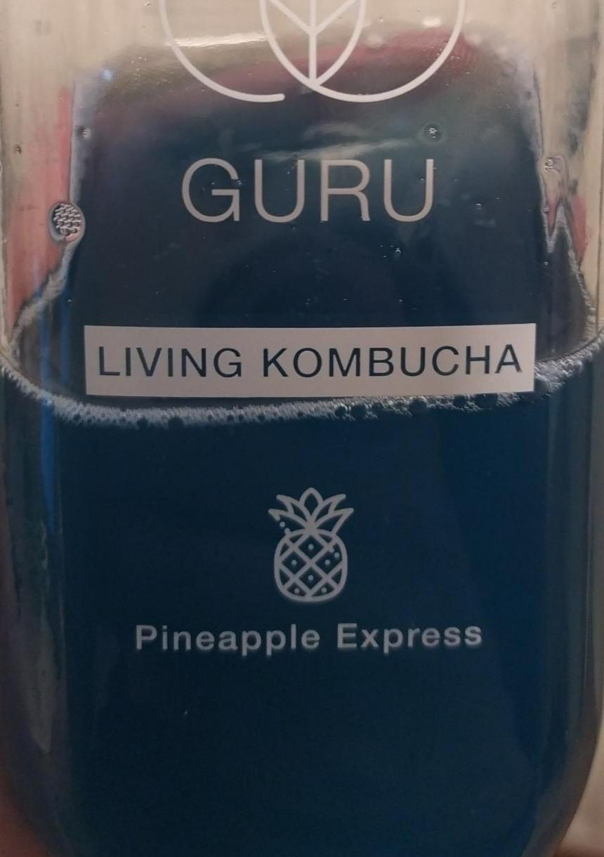 Fotografie - Living Kombucha Pineapple Express Guru