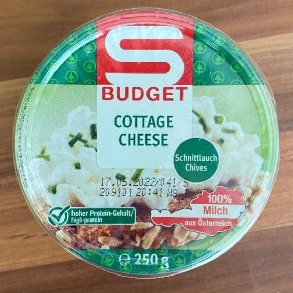 Fotografie - Cottage Cheese Schnittlauch S Budget