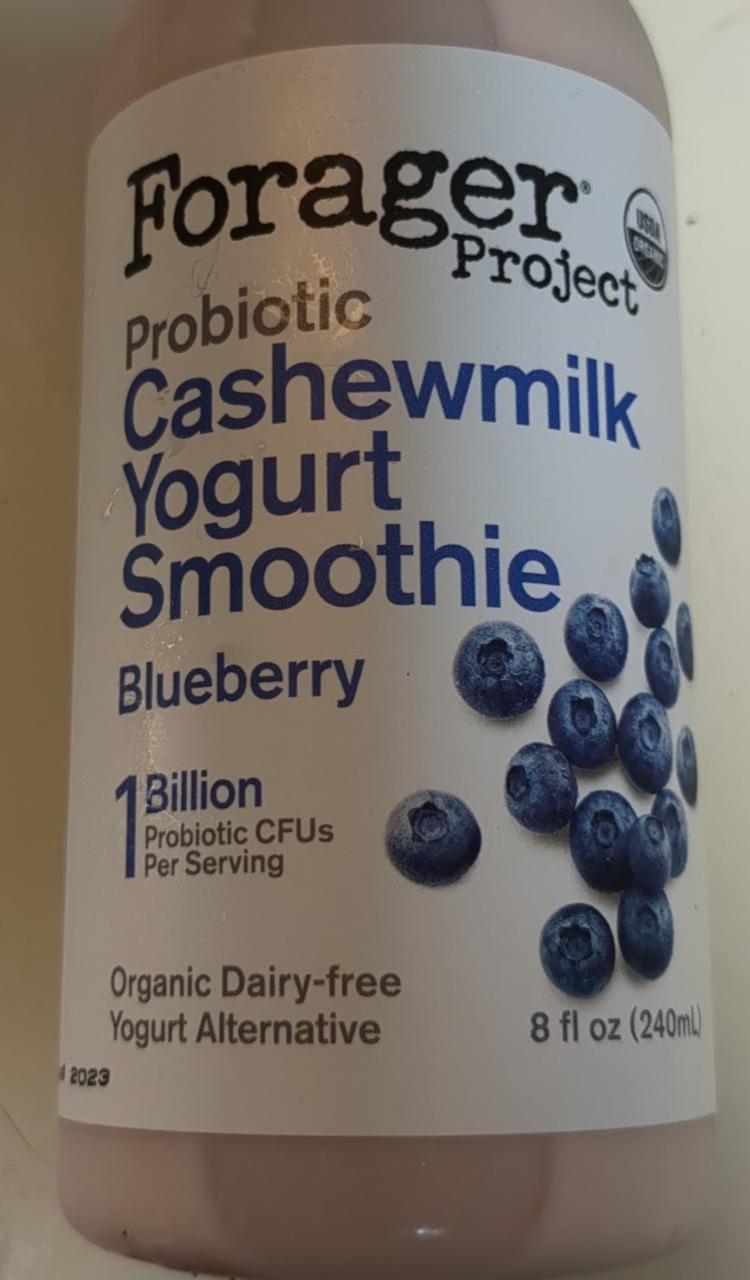 Fotografie - Probiotic Cashewmilk Yogurt Smoothie Blueberry Forager Project