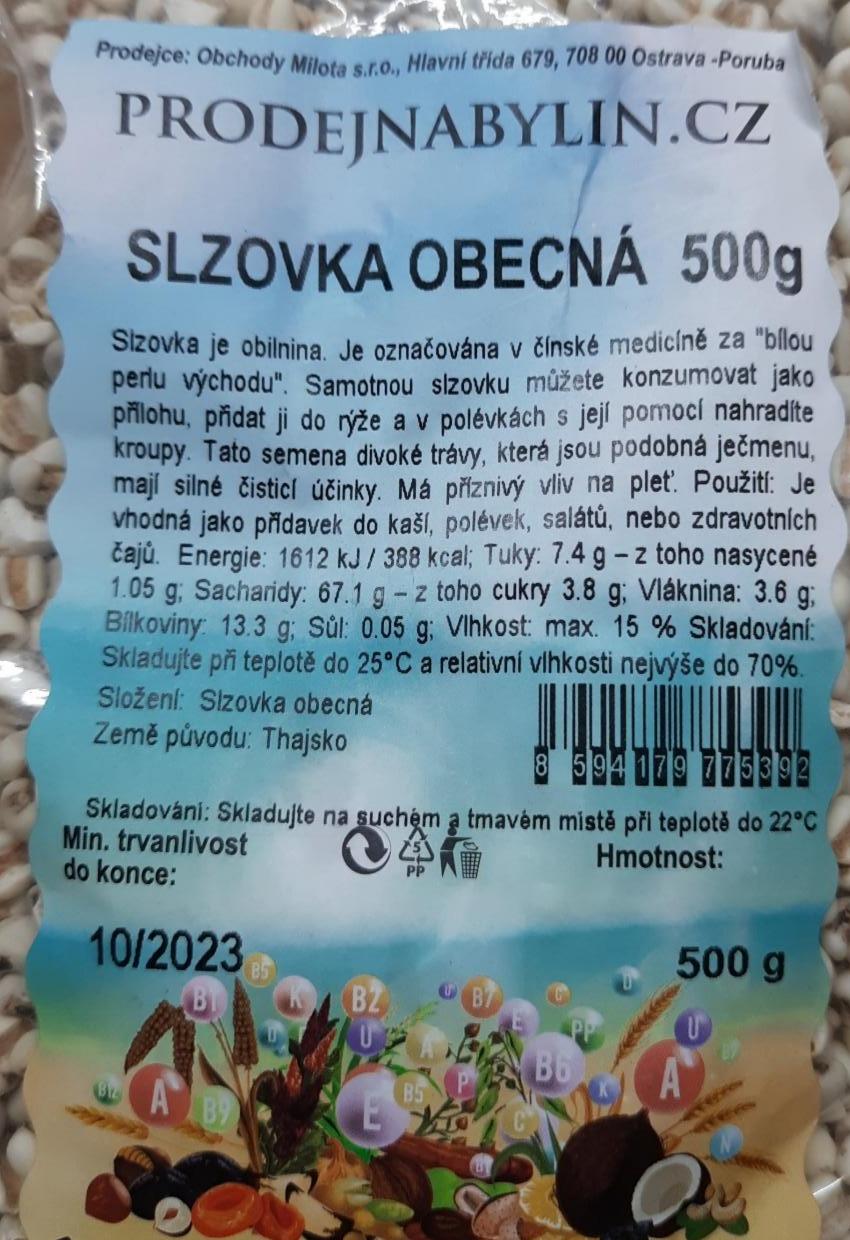 Fotografie - Slzovka obecná ProdejnaBylin.cz