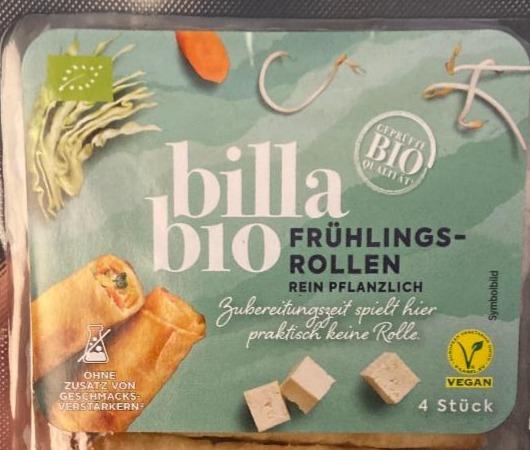 Fotografie - Frühlings-rollen Billa Bio