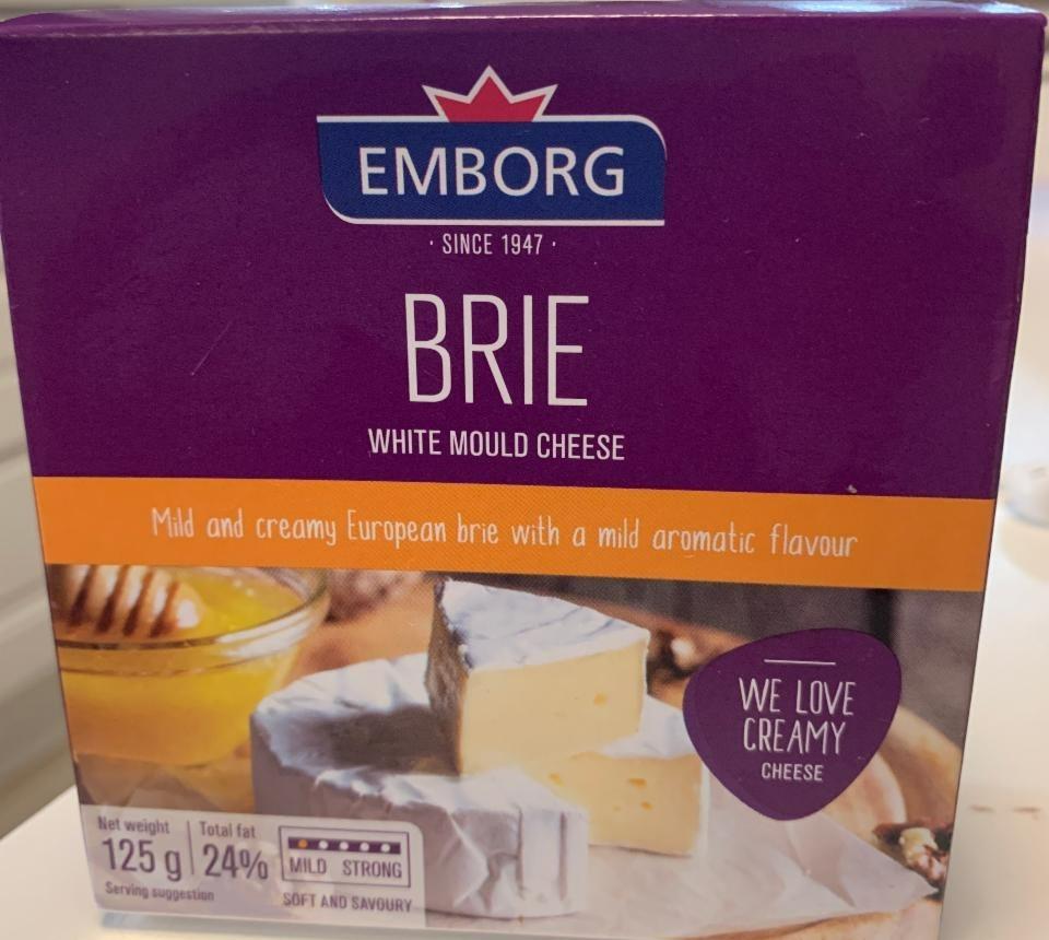 Fotografie - Brie white mould cheese Emborg