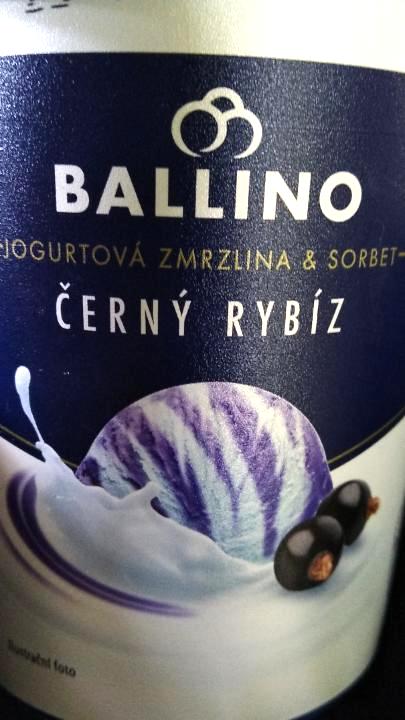 Fotografie - Jogurtová zmrzlina a sorbet černý rybíz Ballino