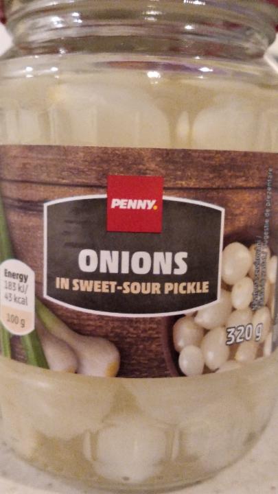 Fotografie - Onions in sweet sour pickle
