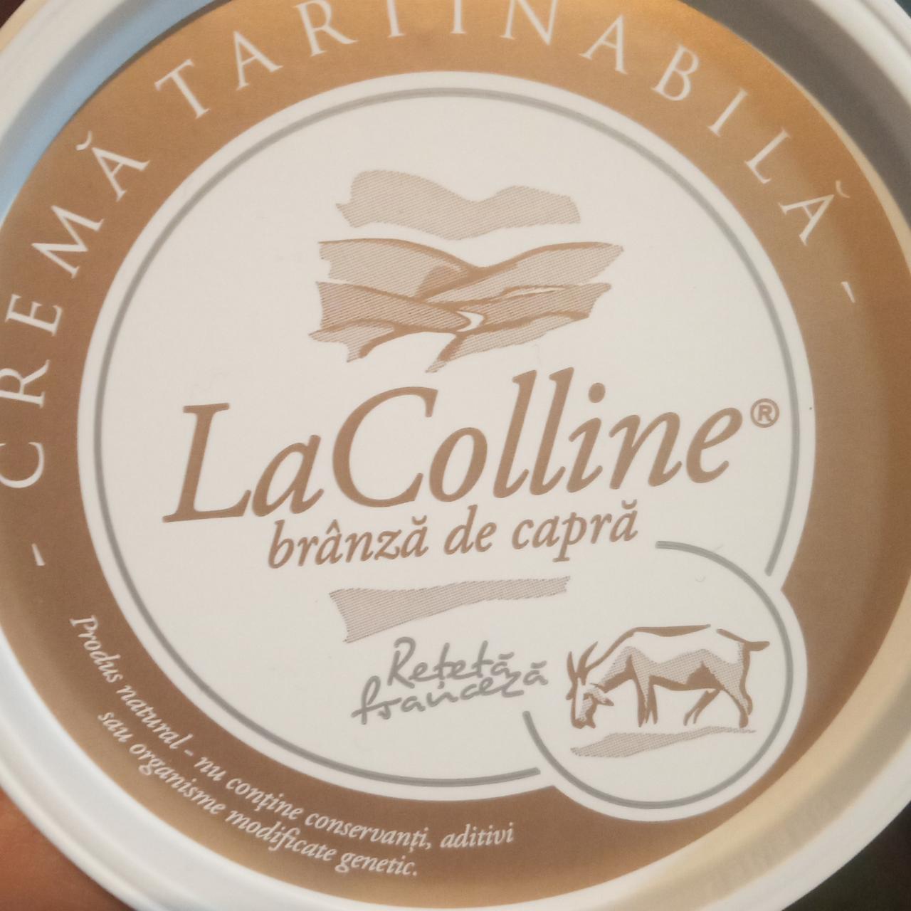 Fotografie - čerstvý kozí sýr La Colline