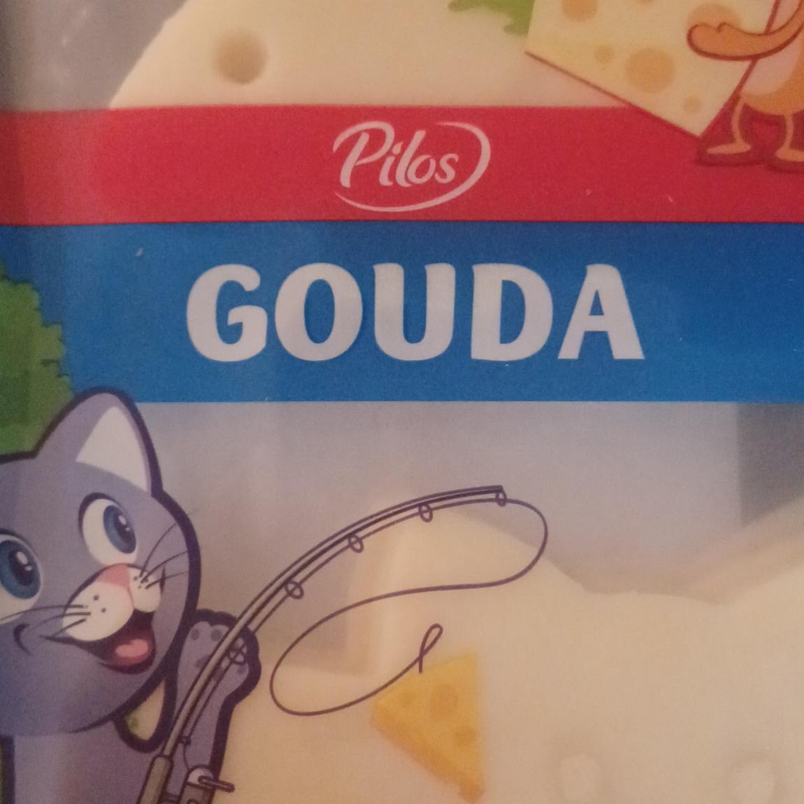 Fotografie - Gouda cheese slices Pilos