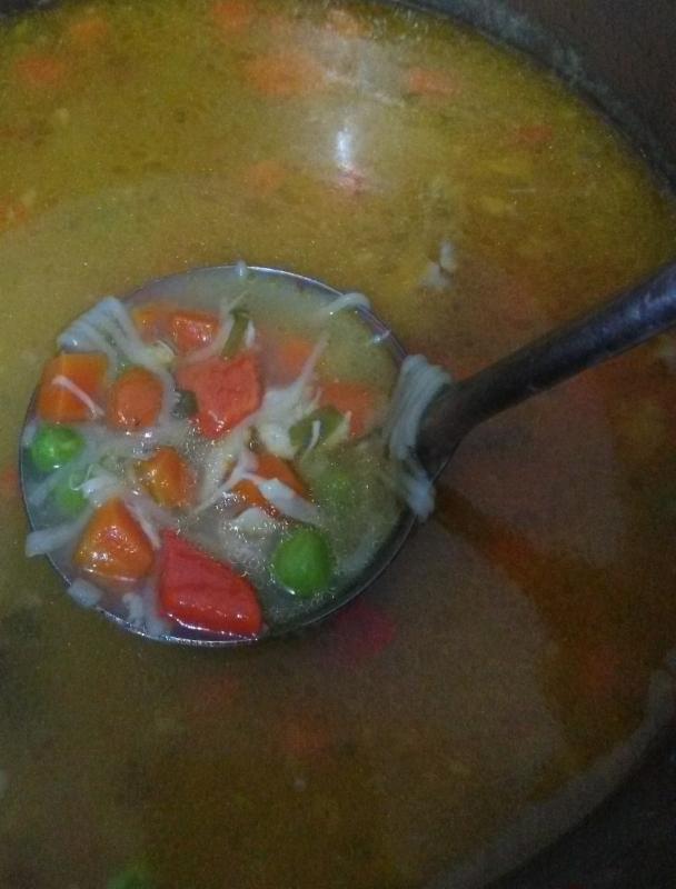 Kuřecí polévka s nudlemi a zeleninou